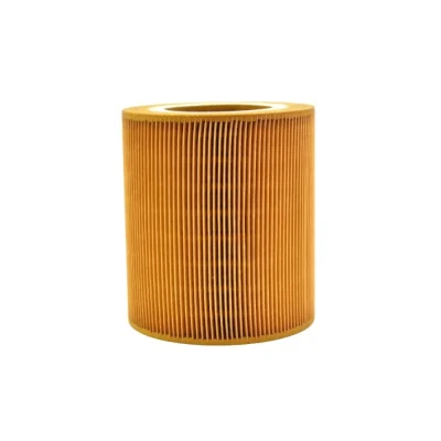 Lọc khí (lọc gió đầu vào) CompAir – P/N 100001611
