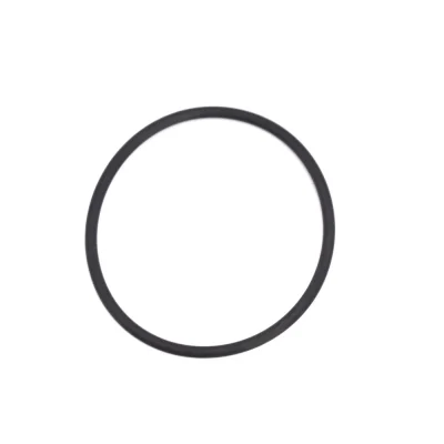 Phớt / O-ring làm kín Kaeser – P/N 5.5064.0