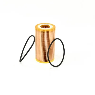 Lọc dầu BOGE – P/N 558000601P