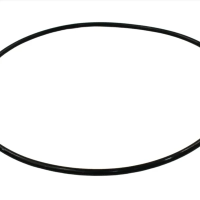 Phớt / O-ring làm kín Quincy – P/N 0663211320