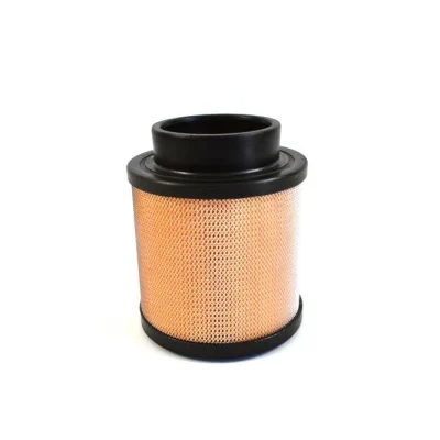 Lọc khí (lọc gió đầu vào) CompAir – P/N 98262-205