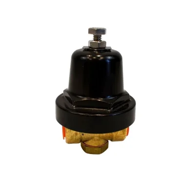 Van máy nén khí Ingersoll Rand – P/N 39905542