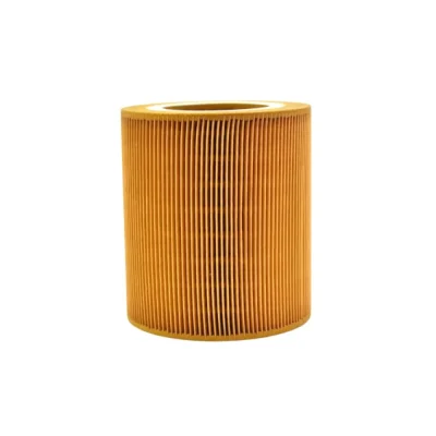 Lọc khí (lọc gió đầu vào) CompAir – P/N 10001611